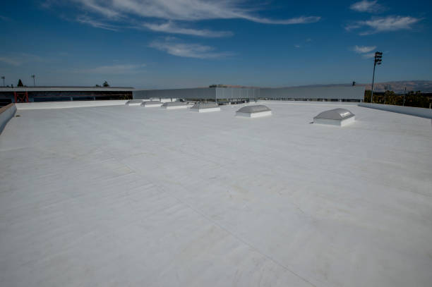 Best 4 Ply Roofing  in Amelia, LA