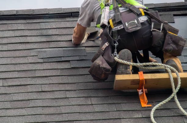 Best Green or Eco-Friendly Roofing Solutions  in Amelia, LA